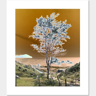 Lone tree under a golden sky Posters and Art